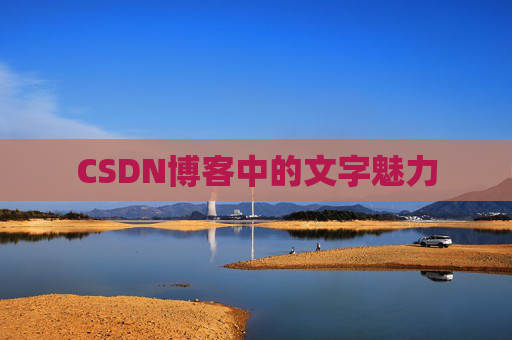 CSDN博客中的文字魅力
